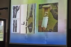 Tak wyglądają budki dla nietoperzy w środku