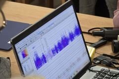 Usłyszeliśmy i zobaczyliśmy dźwięki nietoperzy