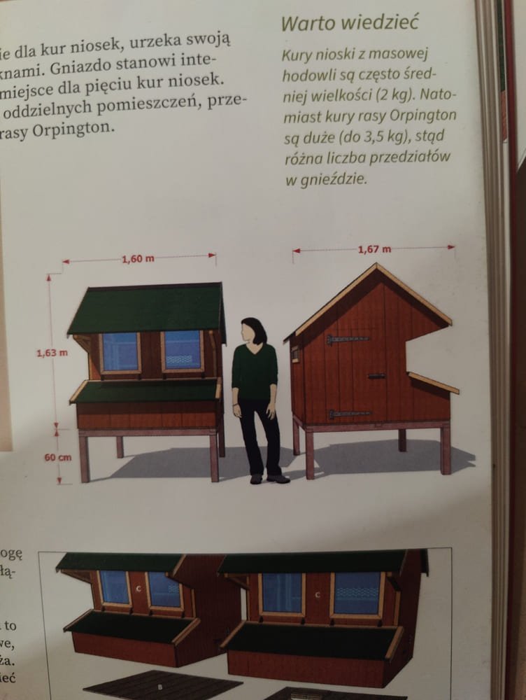 Budujemy kurnik krok po kroku - Herve Husson