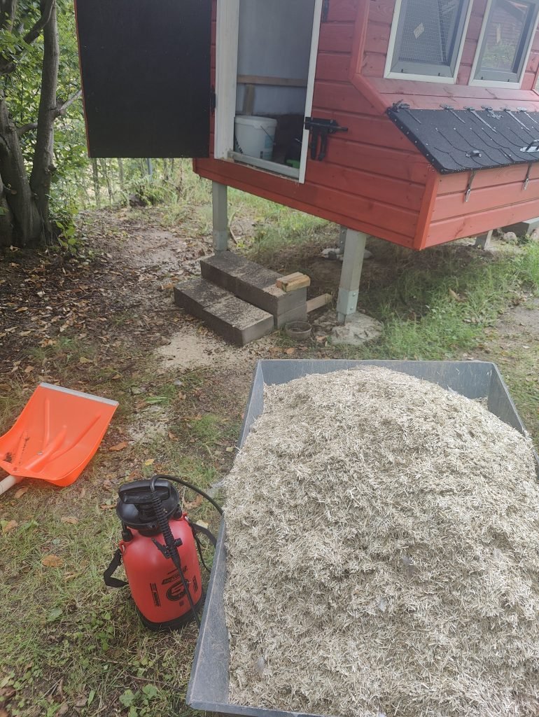 dezynfekcja kurnika i wymiana ściółki