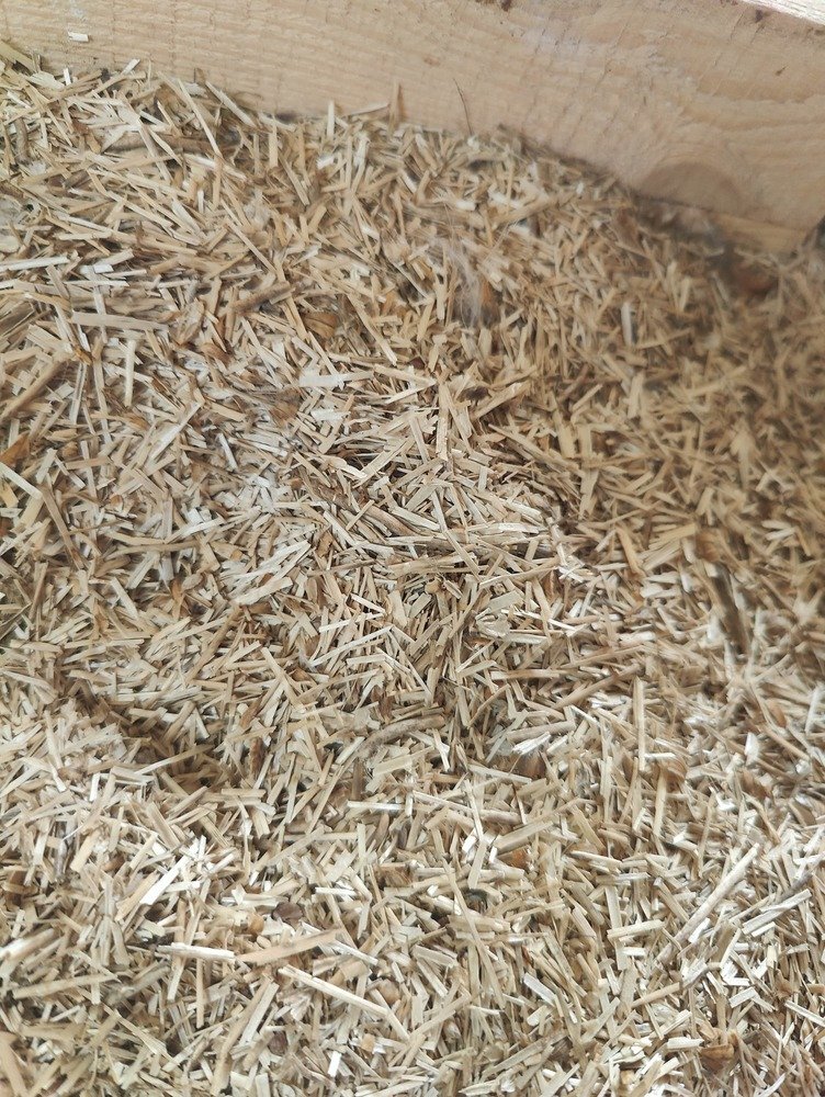 ściółka lniana dla kur