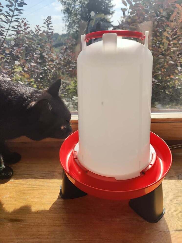 akcesoria dla kur -odwracane poidło dla kur