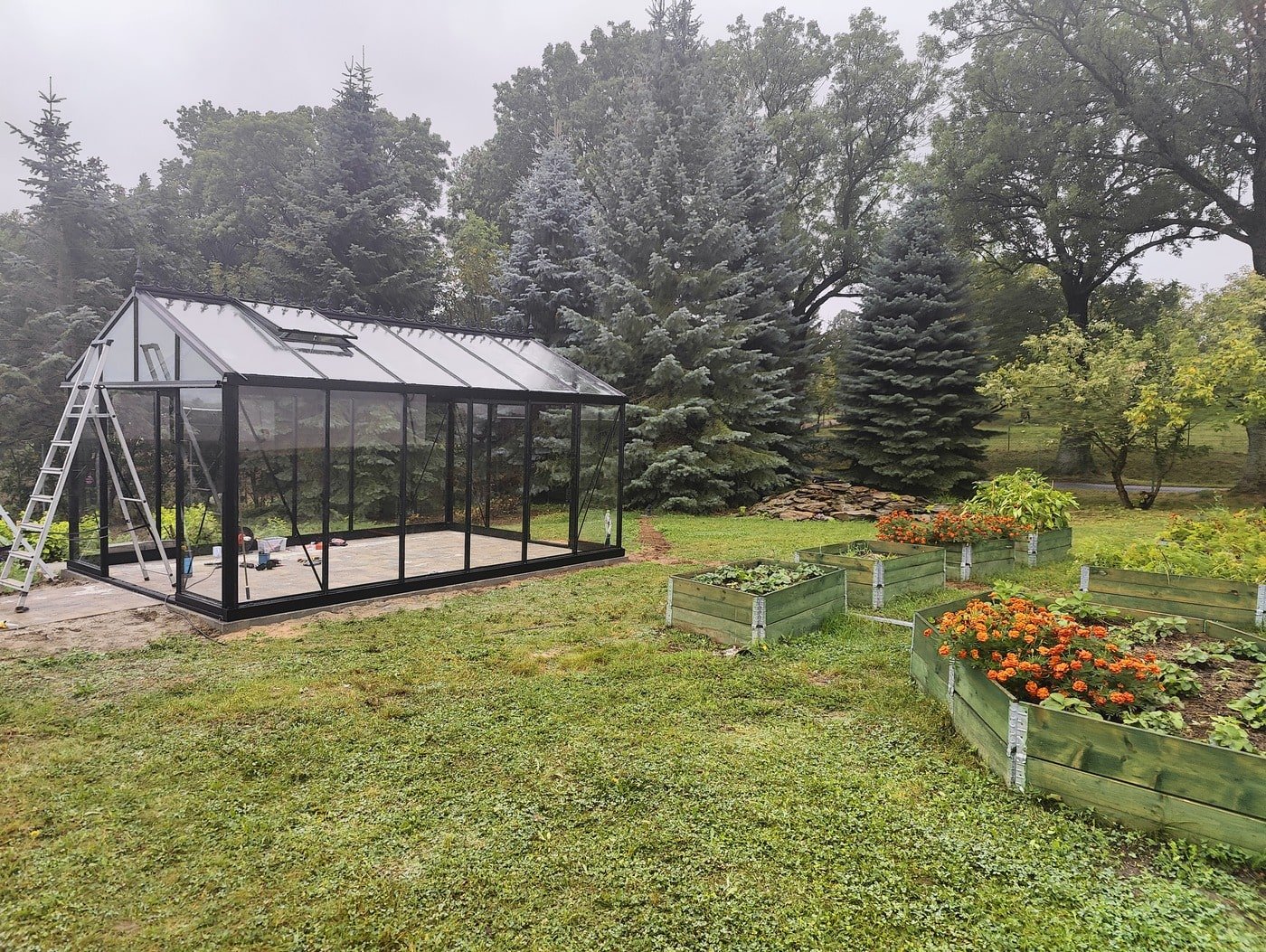 Zdjęcie przedstawia szklarnię i grządki podwyższone. W tle widać drzewa. W grządkach rosną truskawki i kwitną aksamitki. Co siać we wrześniu w grządkach?