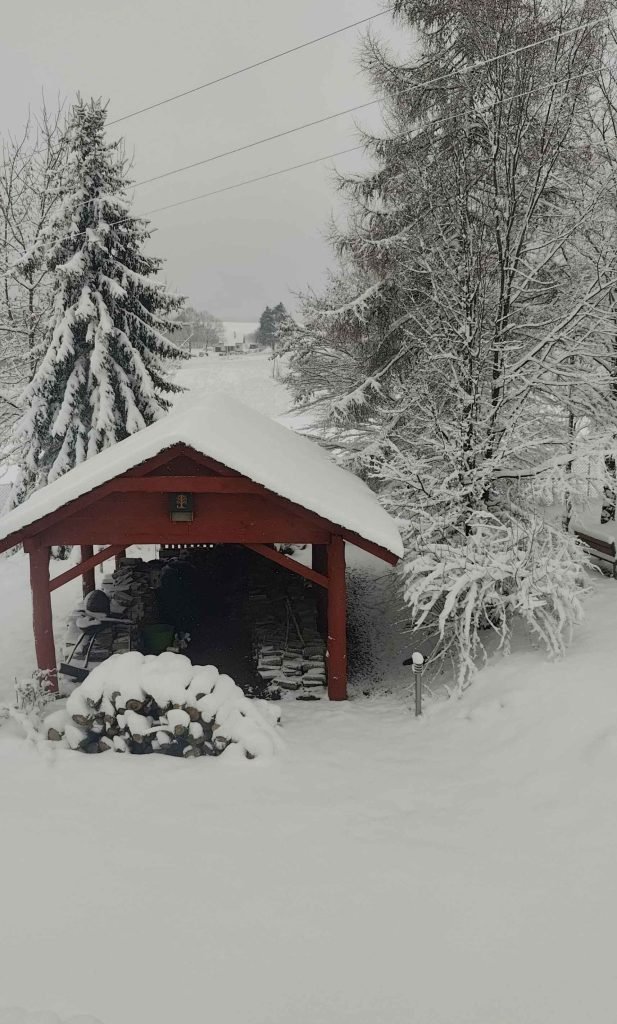 zimowy krajobraz. szopa na drewno pokryta śniegiem.