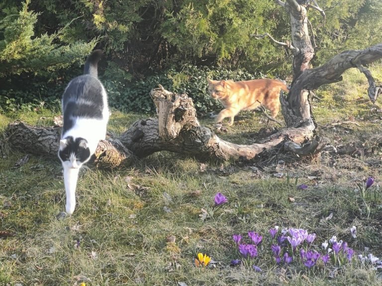 Marzec - wielki start sezonu